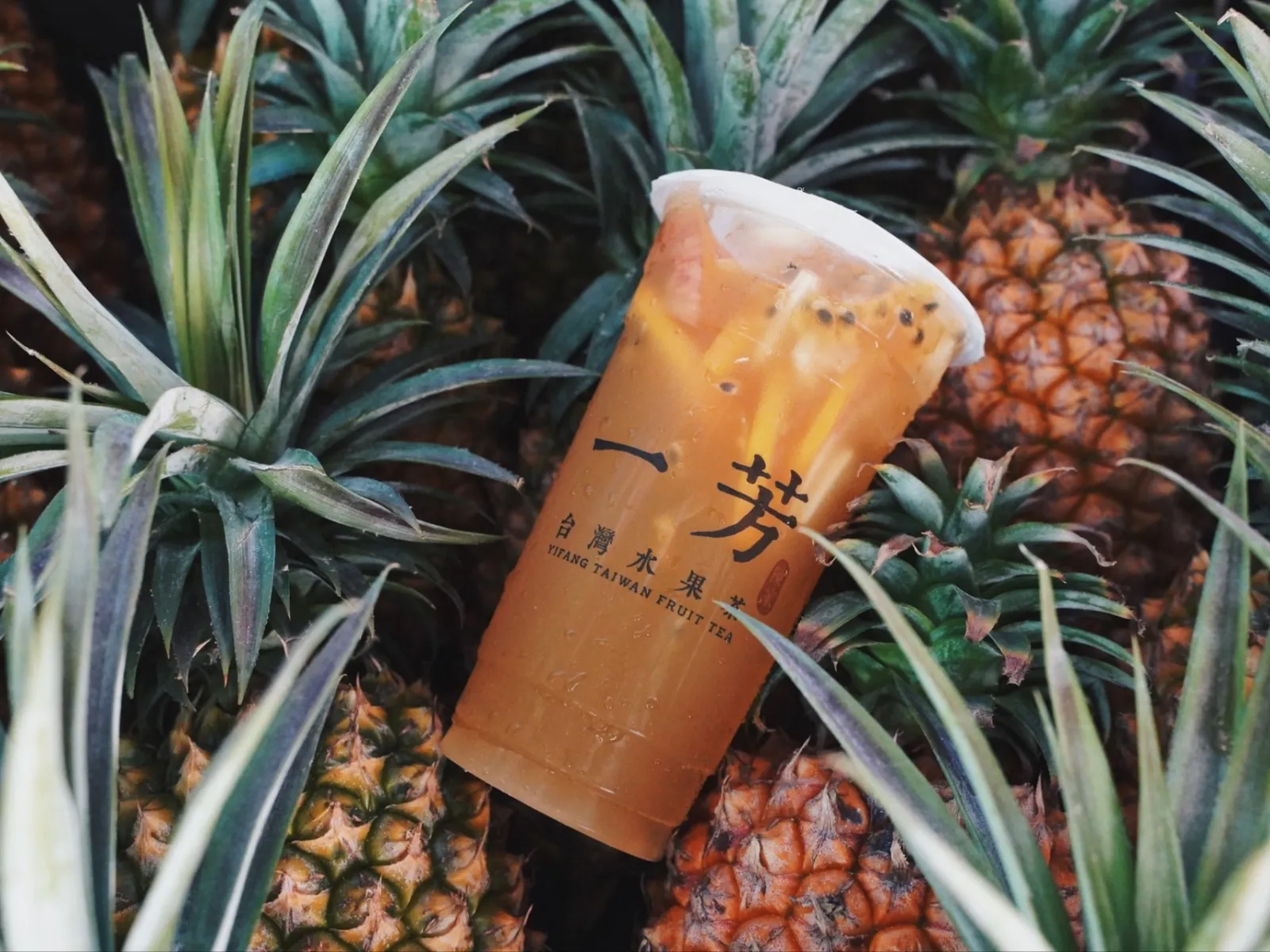Yi fang deals taiwan fruit tea