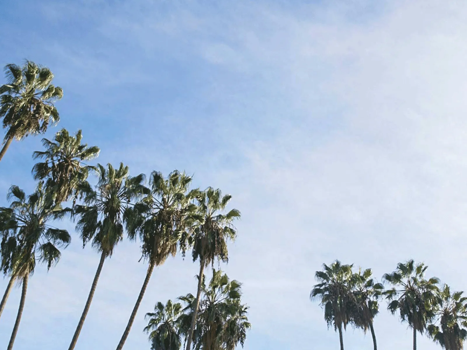 Beating The Crowds At Zuma Beach