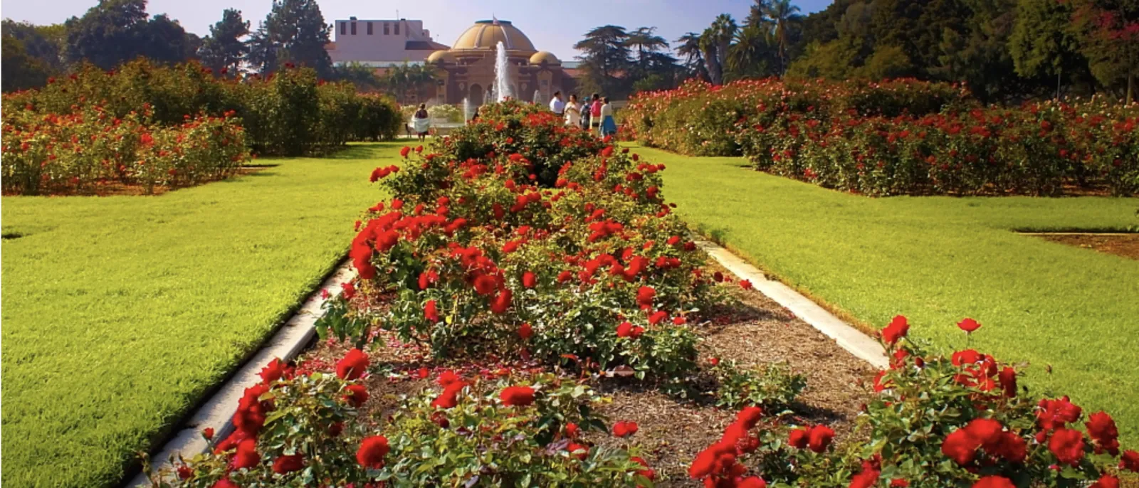 explore the beautiful gardens of los angeles | discover los angeles