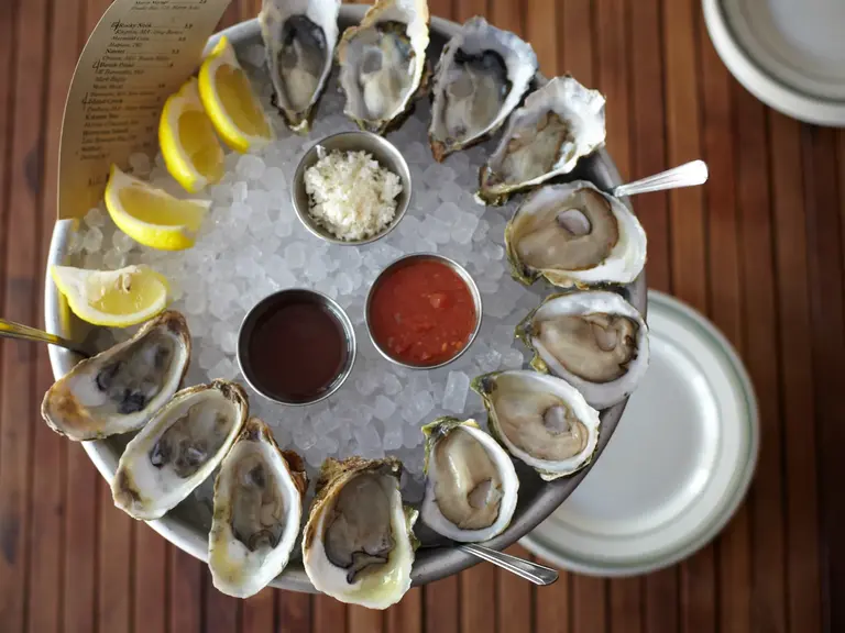 Daily Dozen Oysters at L&E Oyster Bar