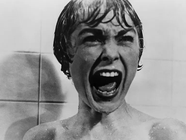 Janet Leigh in "Psycho" (1960)