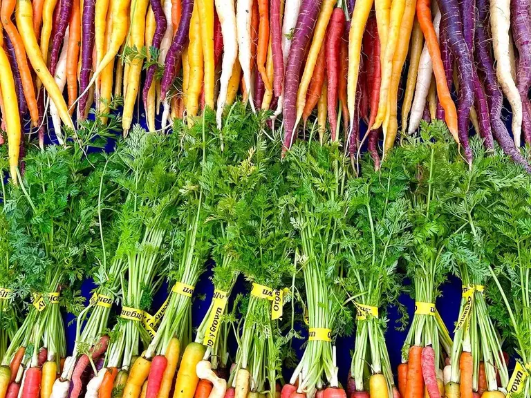 Rainbow carrots at the Hollywood Farmers' Market