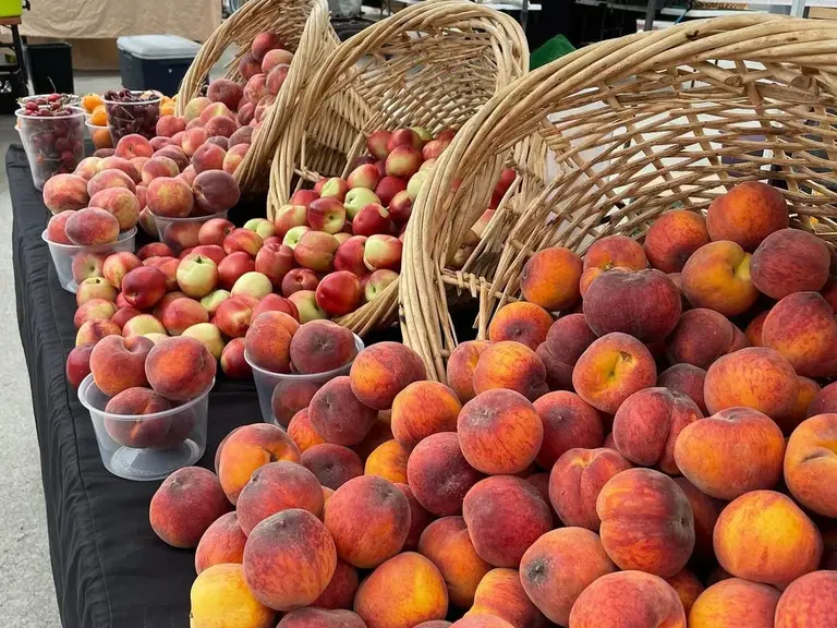 Stone fruit at the NoHo Farmers' Market