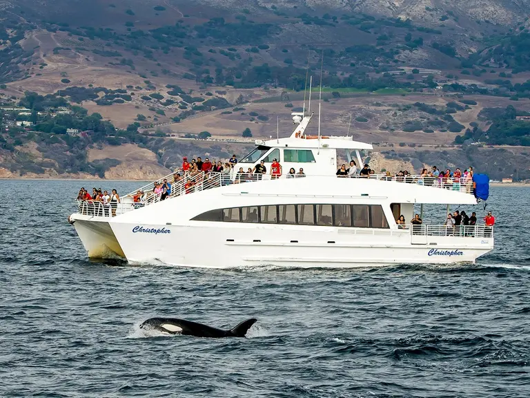Harbor Breeze Cruises orca