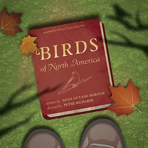 A red book lies on green grass beside an orange maple leaf. It reads "Birds of North America."