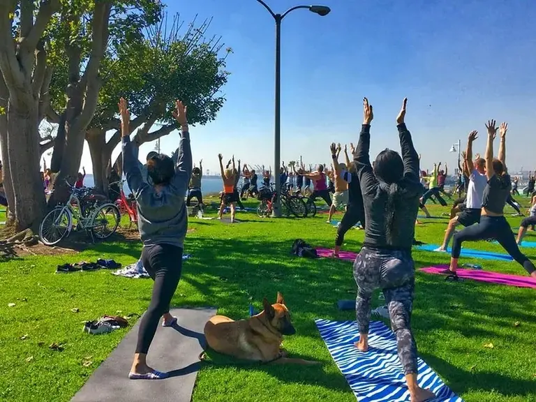 Yogalution Yoga on the Bluff in Long Beach