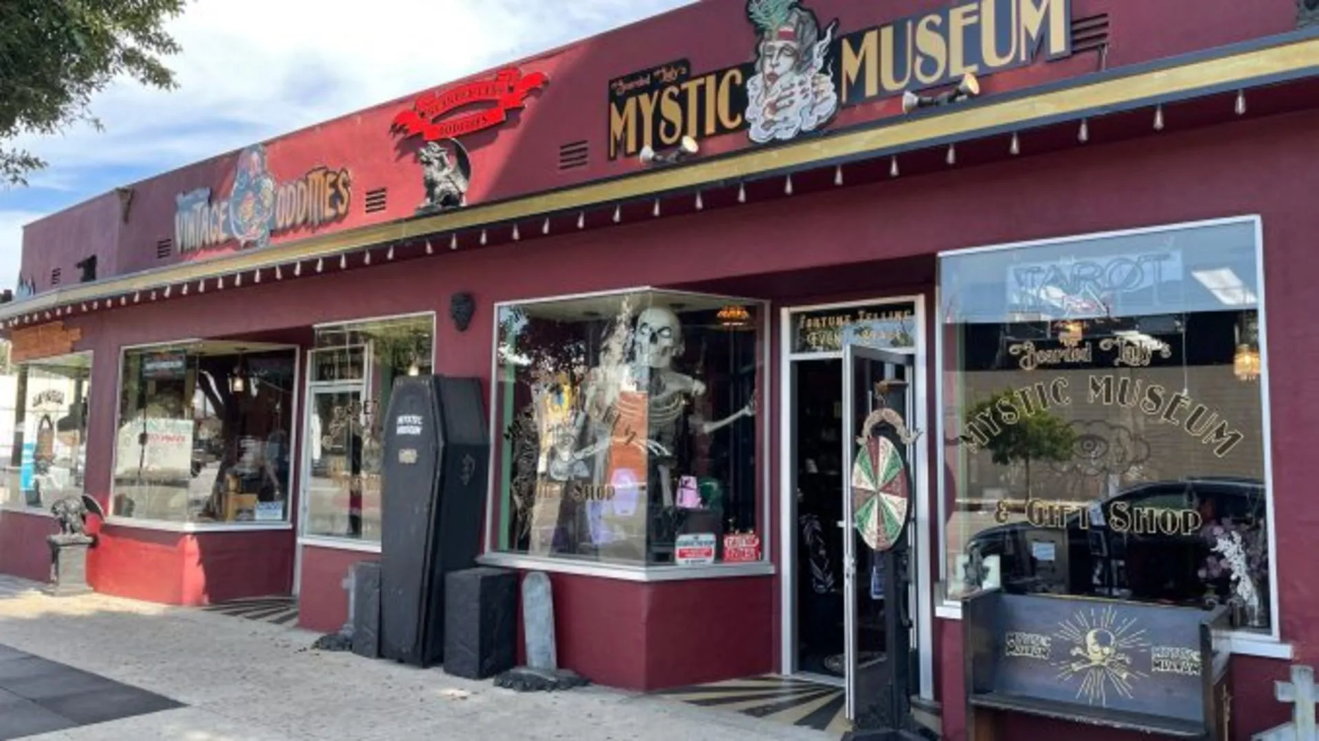 Primary image for Bearded Lady's Mystic Museum