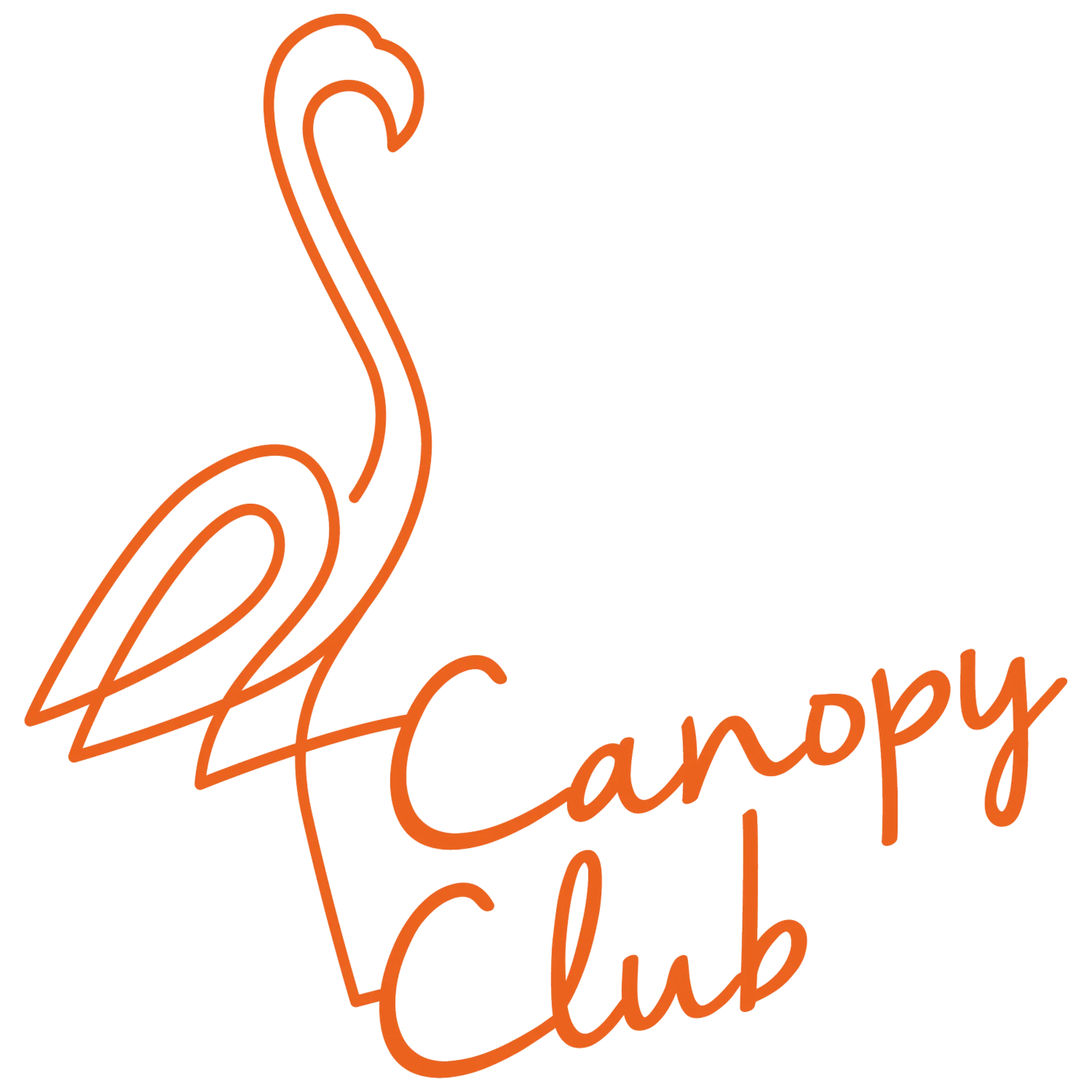 Canopy Club logo
