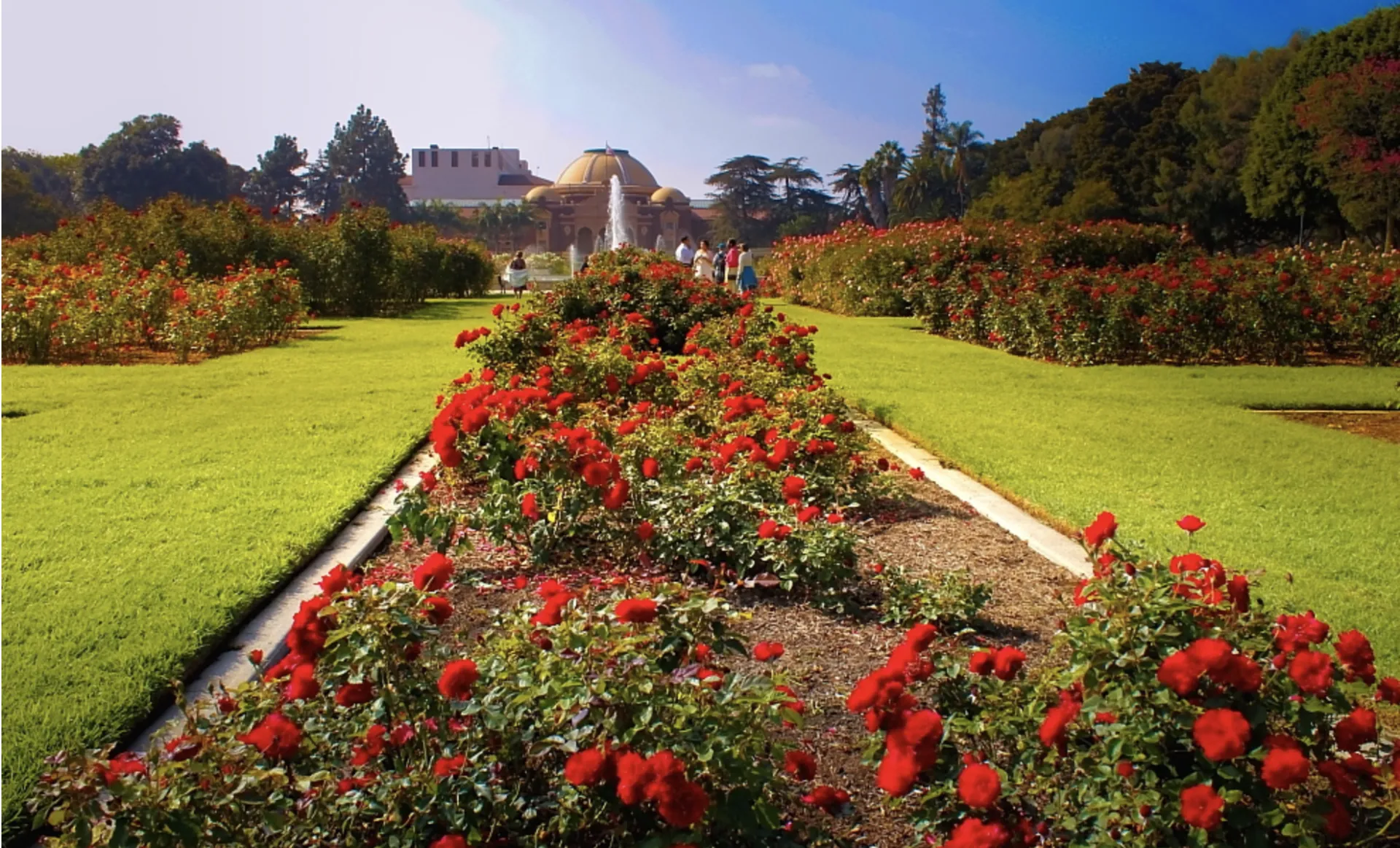 Primary image for Exposition Park