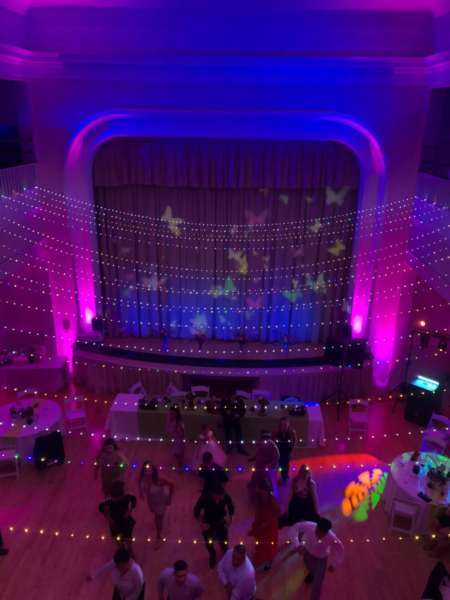 Butterflies projection