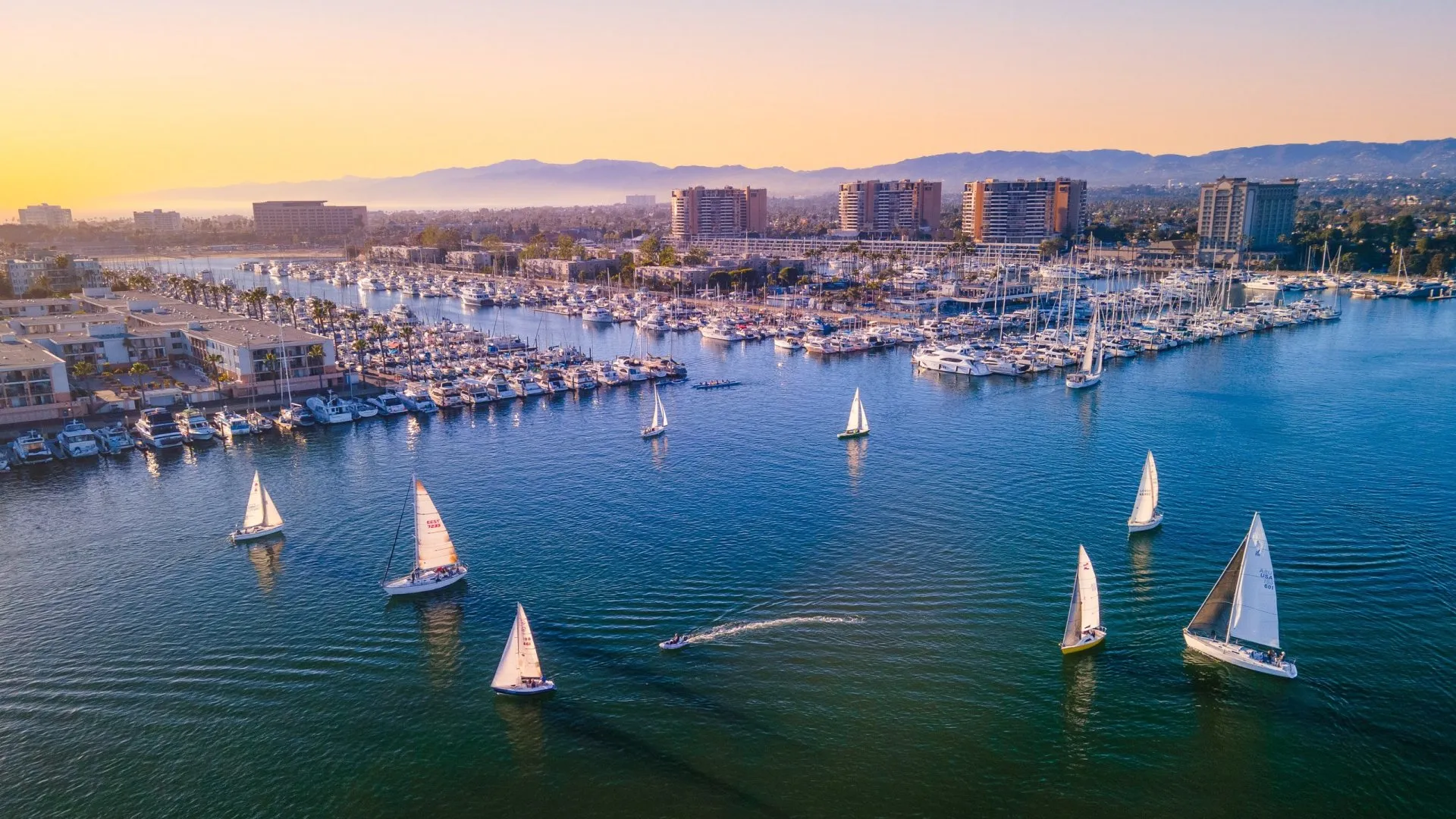Primary image for Marina del Rey Tourism Board