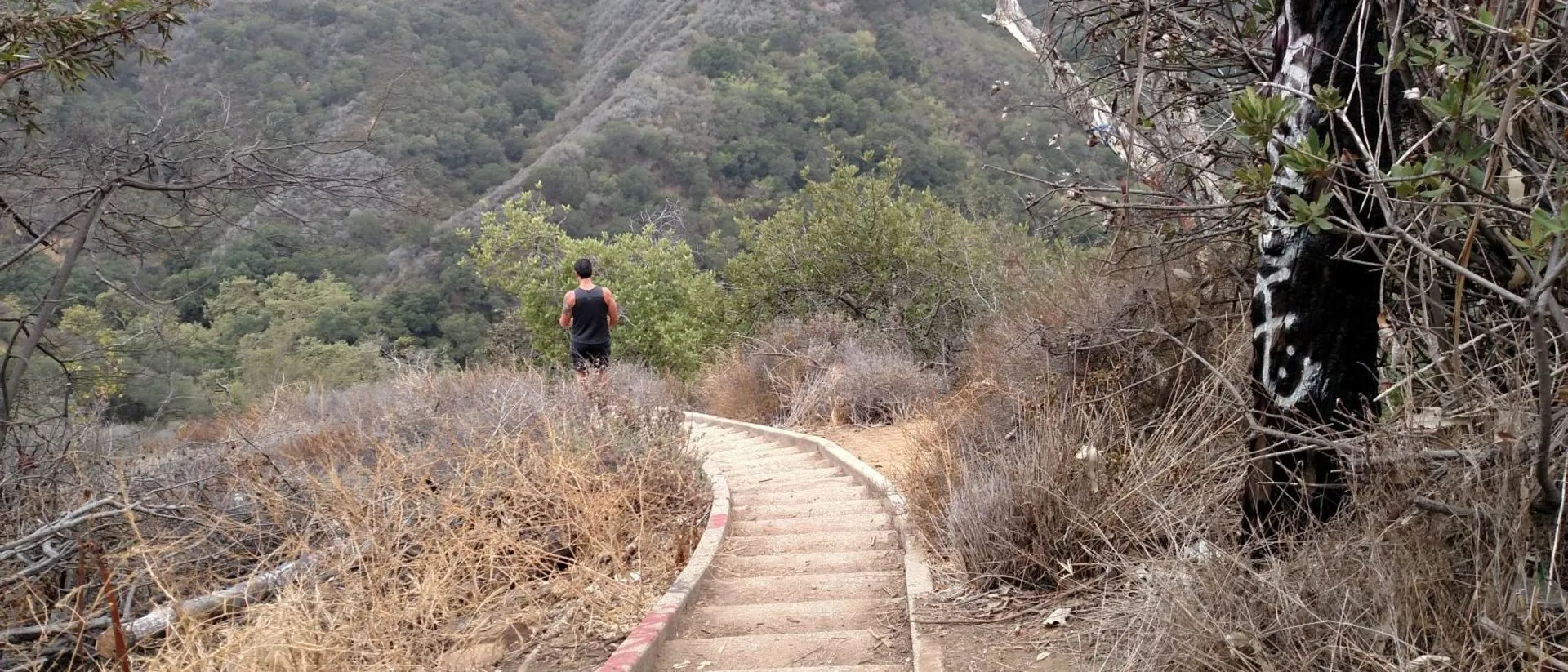 Primary image for Murphy Ranch Trail