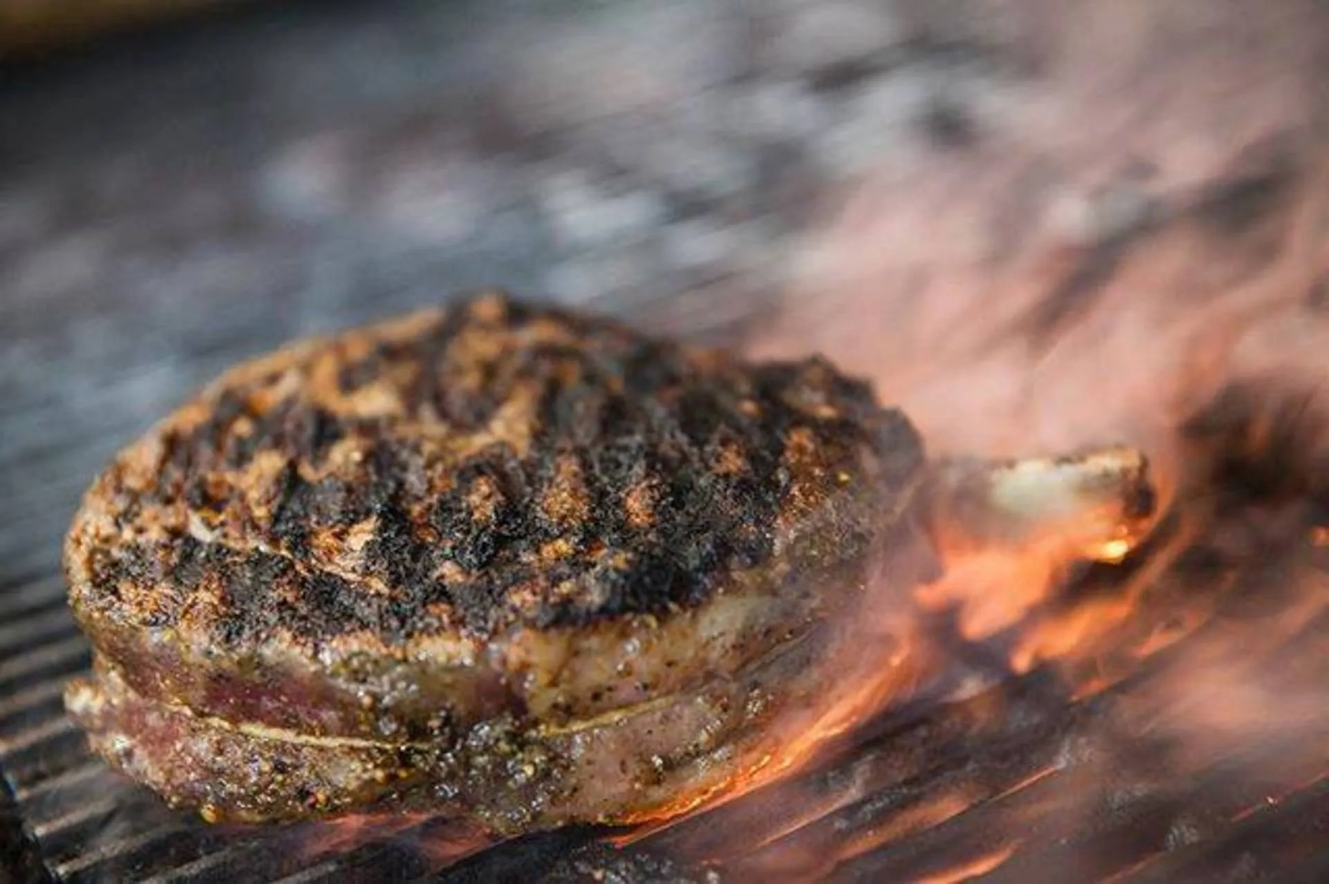 Primary image for Osteria Mozza