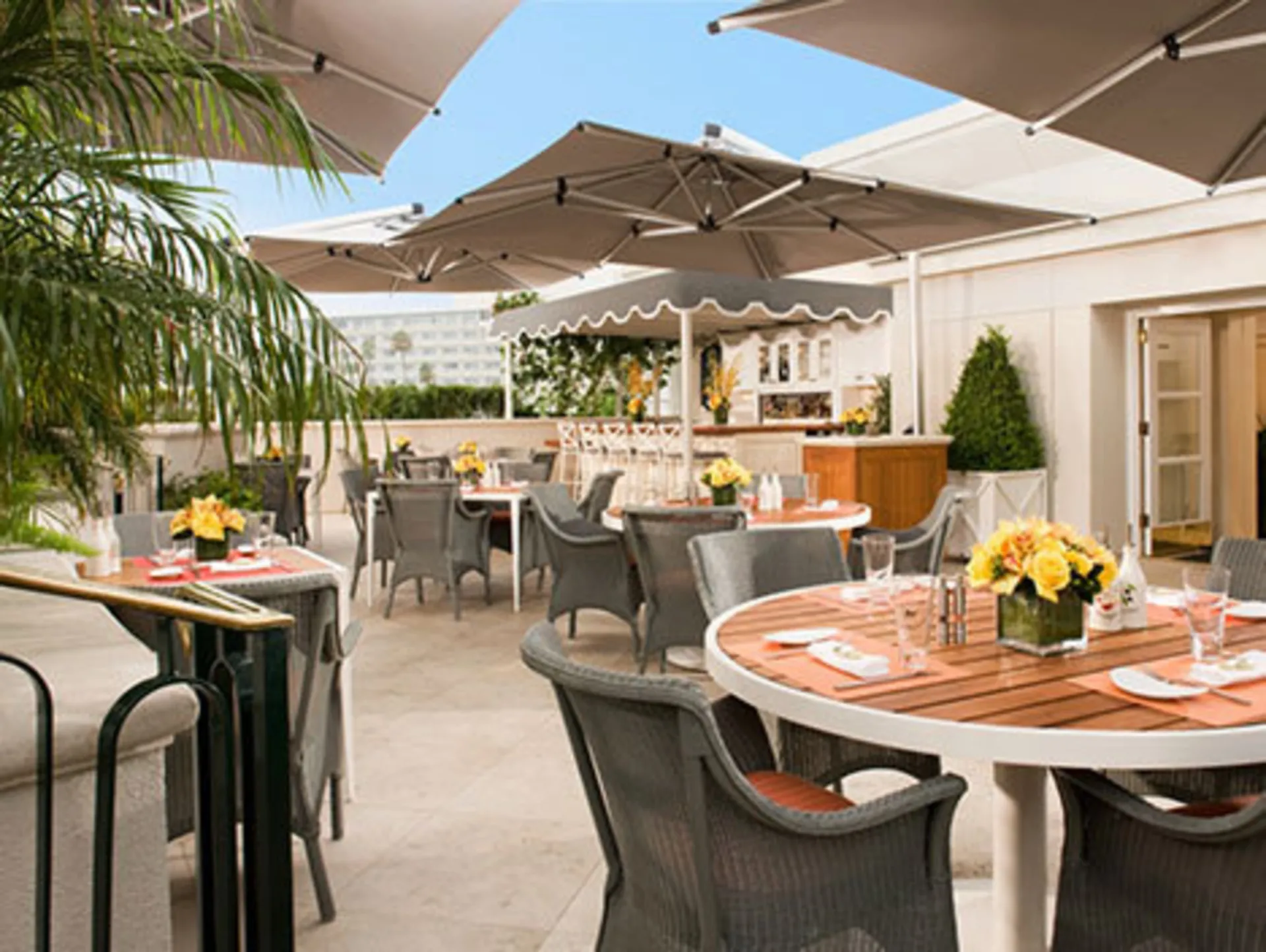 The Roof Garden at The Peninsula