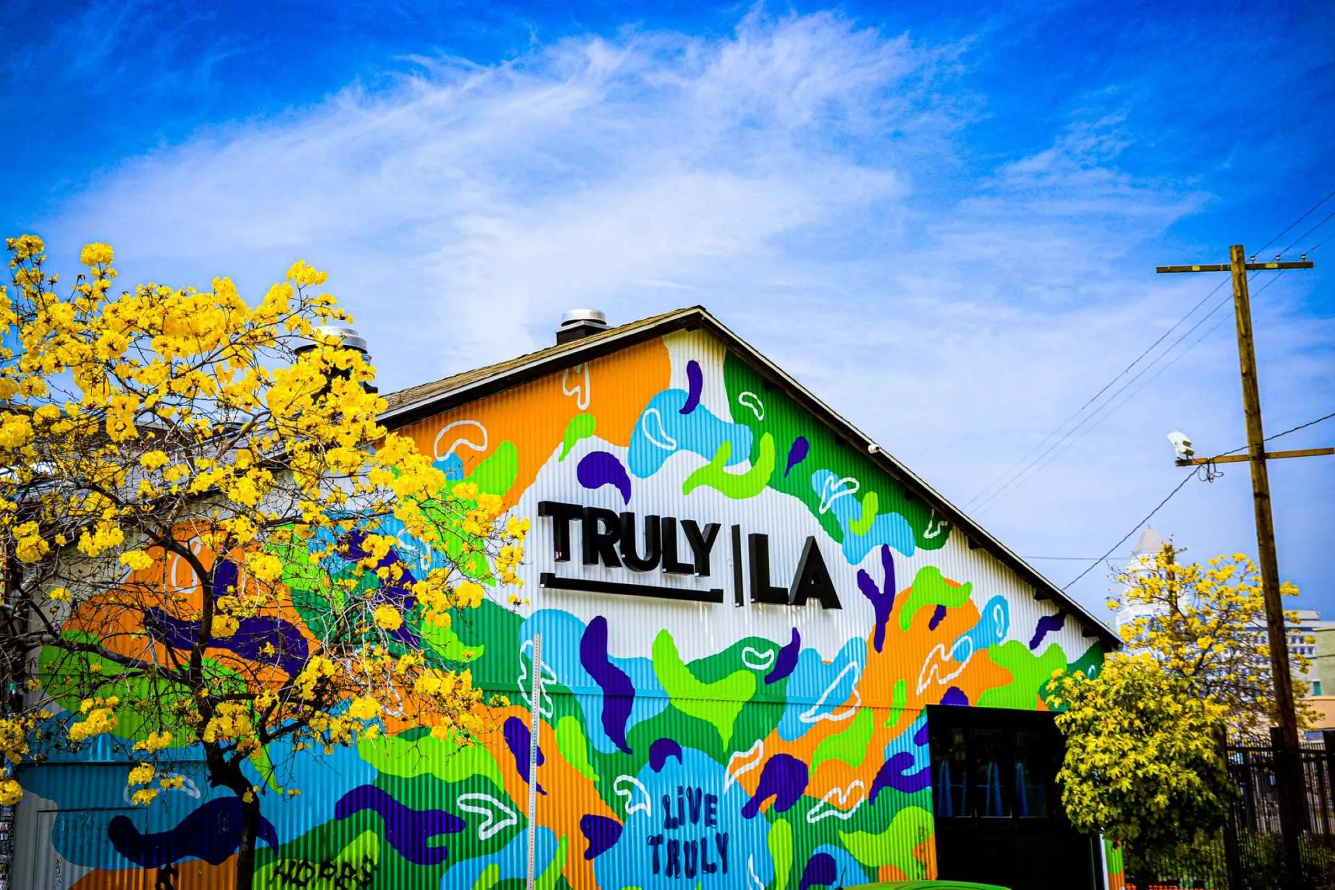 Exterior - Mural on Rose