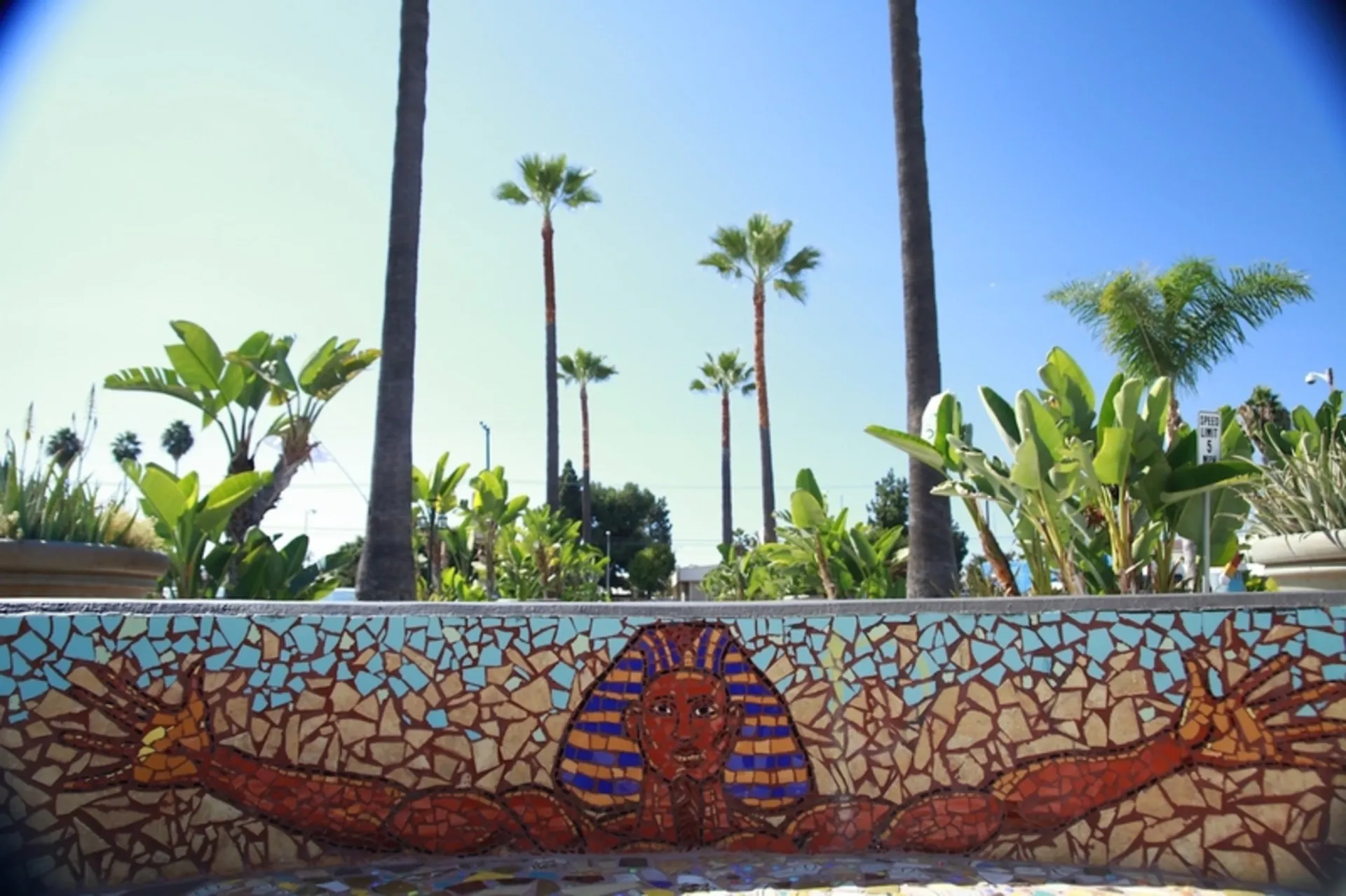 Watts Labor Community Action Committee