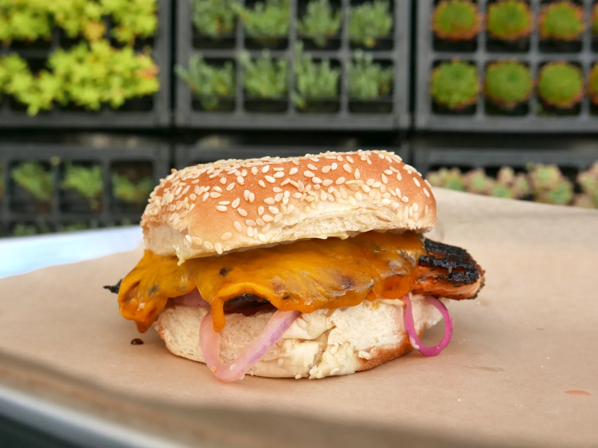 Blackened Salmon Sandwich at Voltaggio STRFSH