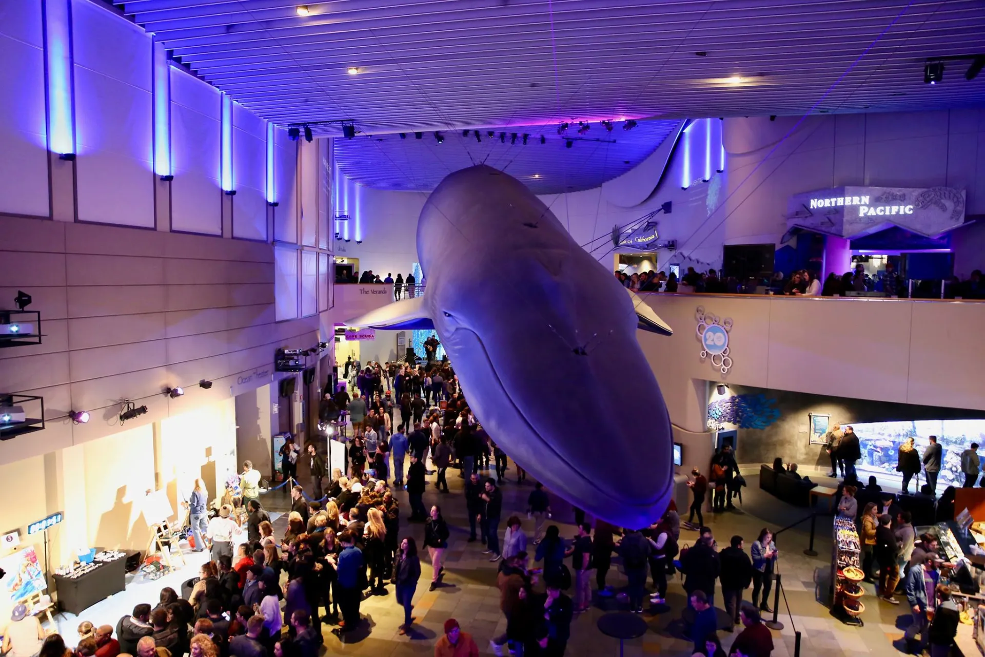 Night Dive at Aquarium of the Pacific | Photo: Aquarium of the Pacific, Facebook
