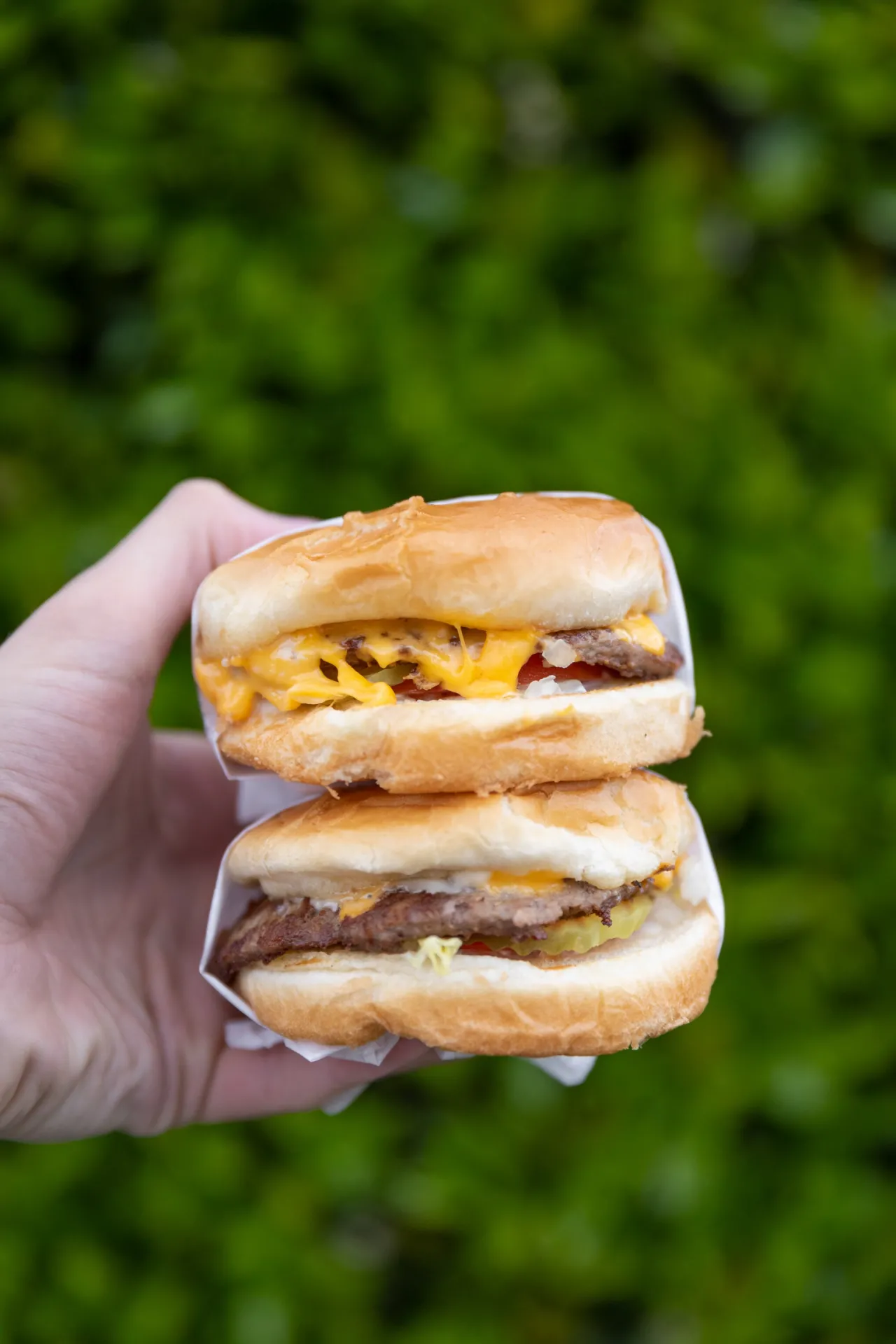 Cheeseburger at Bill's Burgers