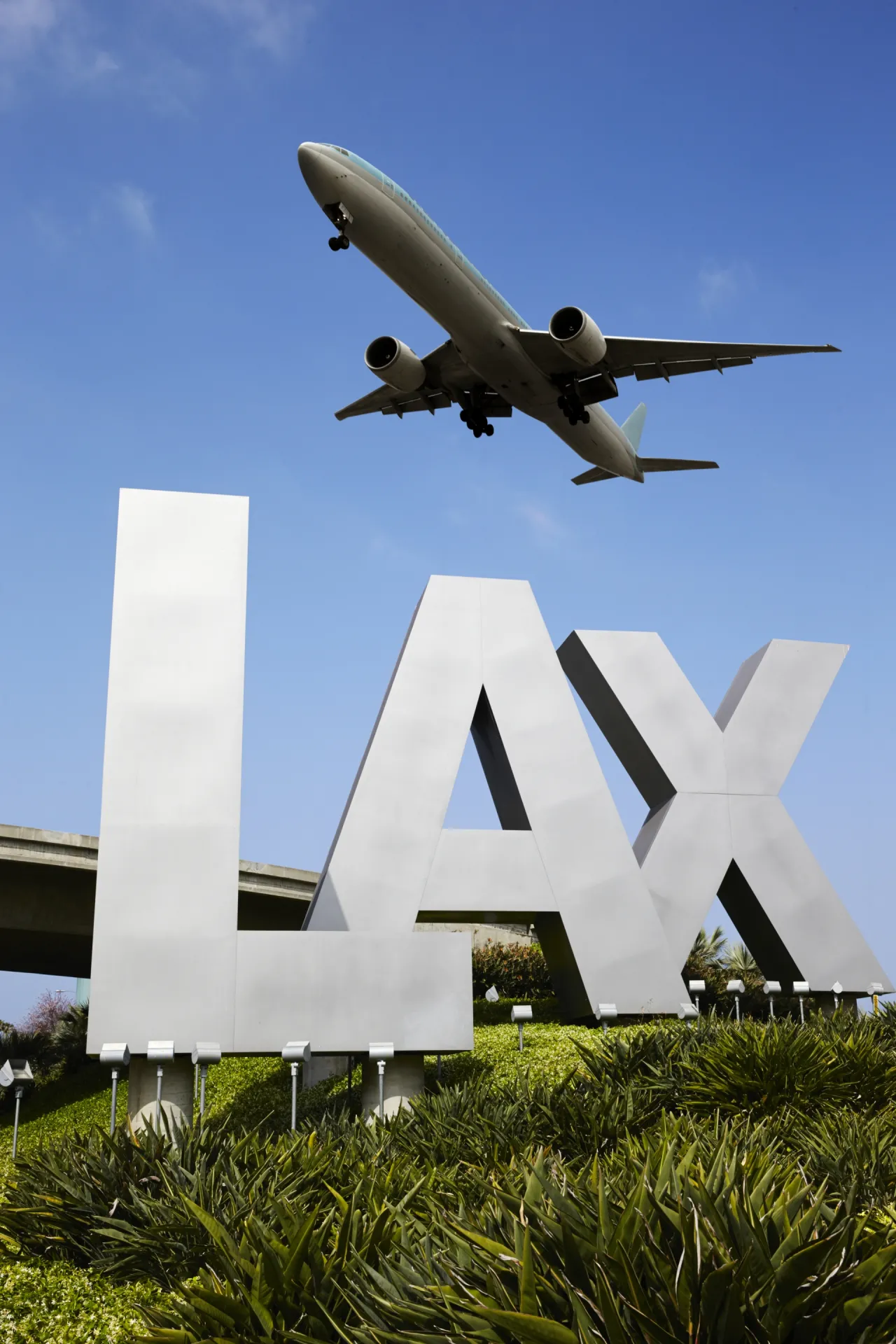 lax