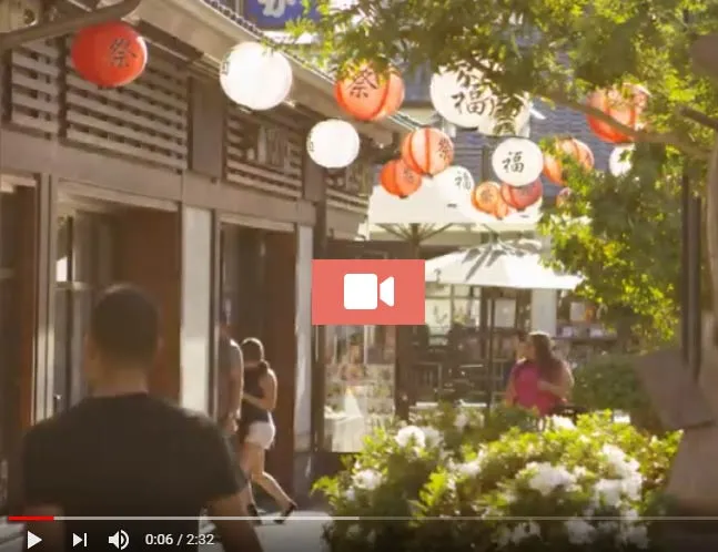 Citywide Sizzle Reel