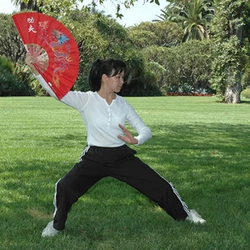 Tai Chi with Kathy Chyan at The Huntington Library