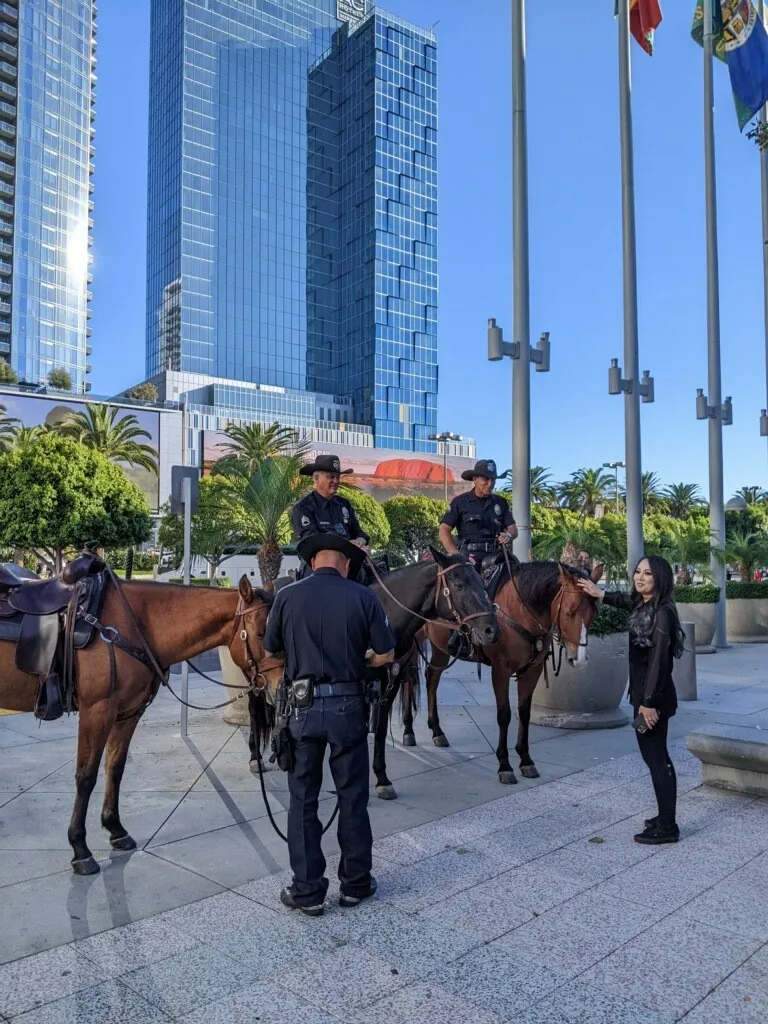 Mounted Police
