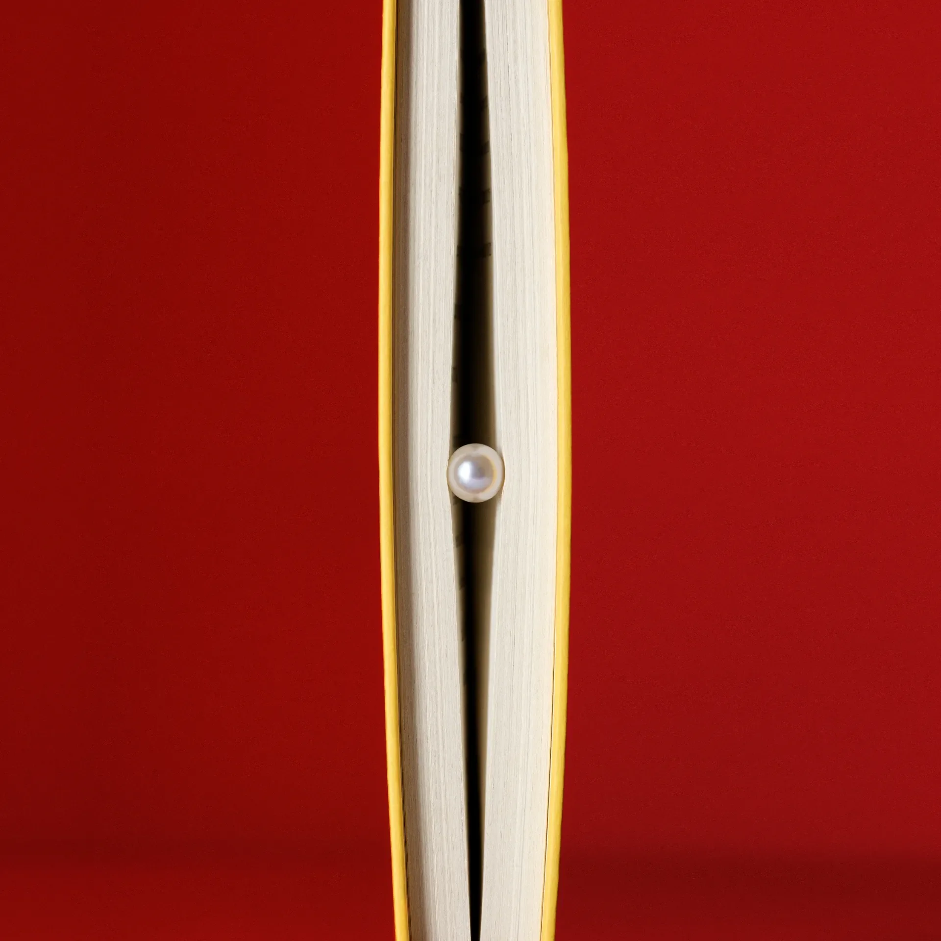 A pearl sits between the pages of a book.