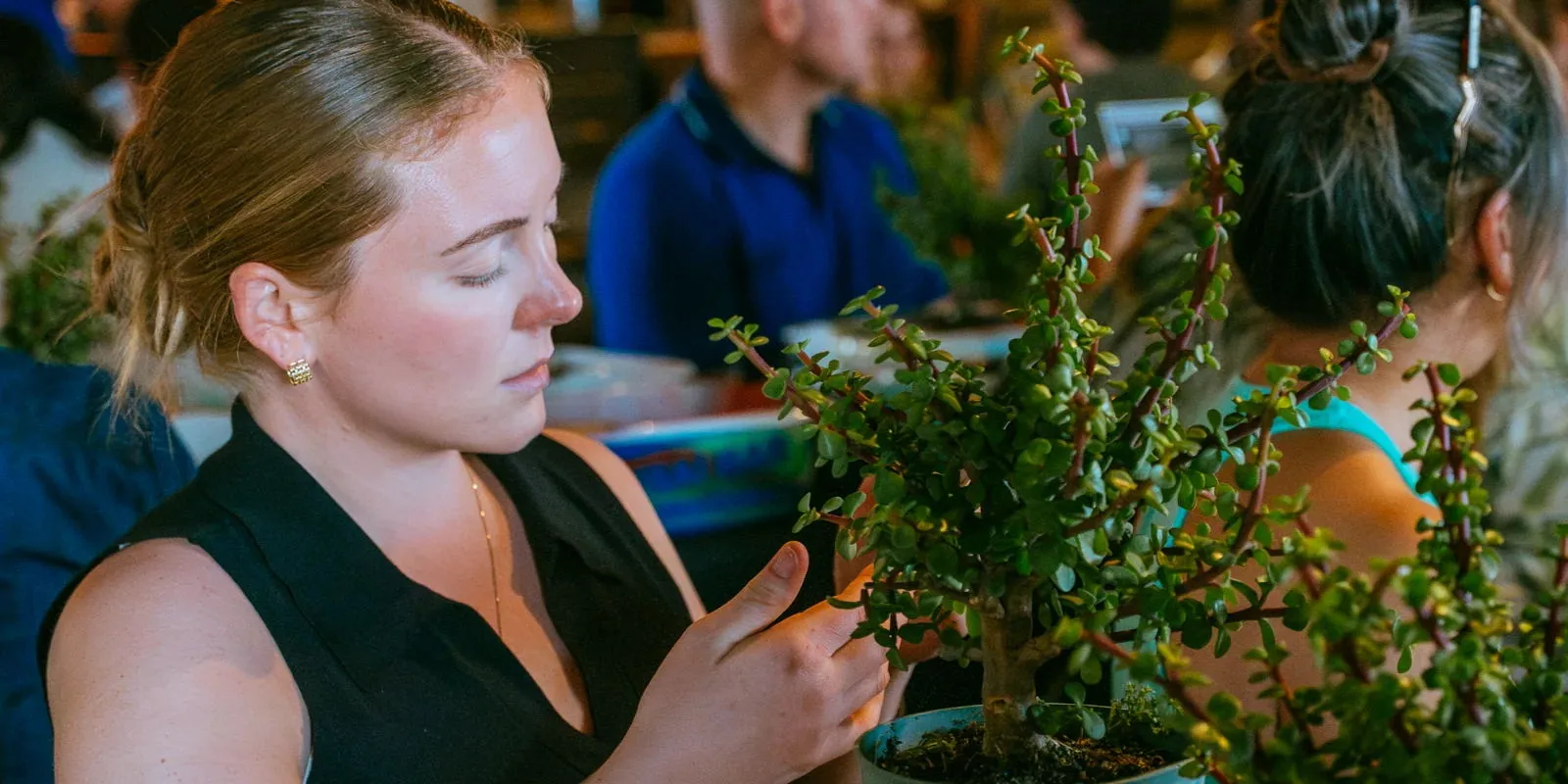 Bonsai Workshop at Common Space Brewery