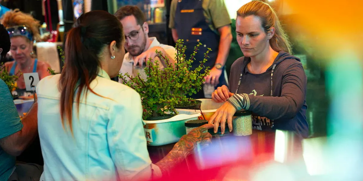 Beginner workshops are perfect for you to grab your friends, grab a drink and come make tiny trees!