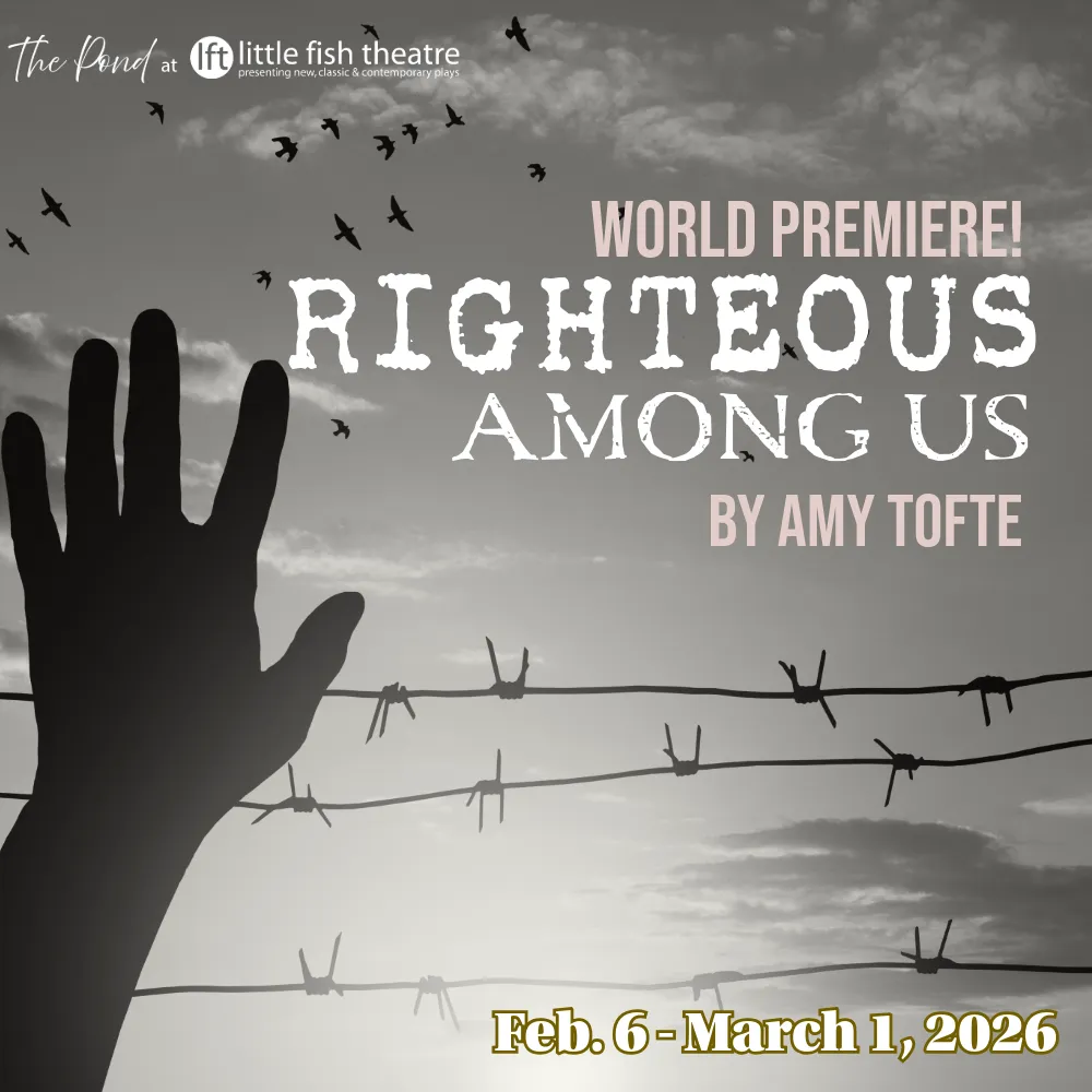 hand blocks out the sun near a barbed wire fence and birds fly over