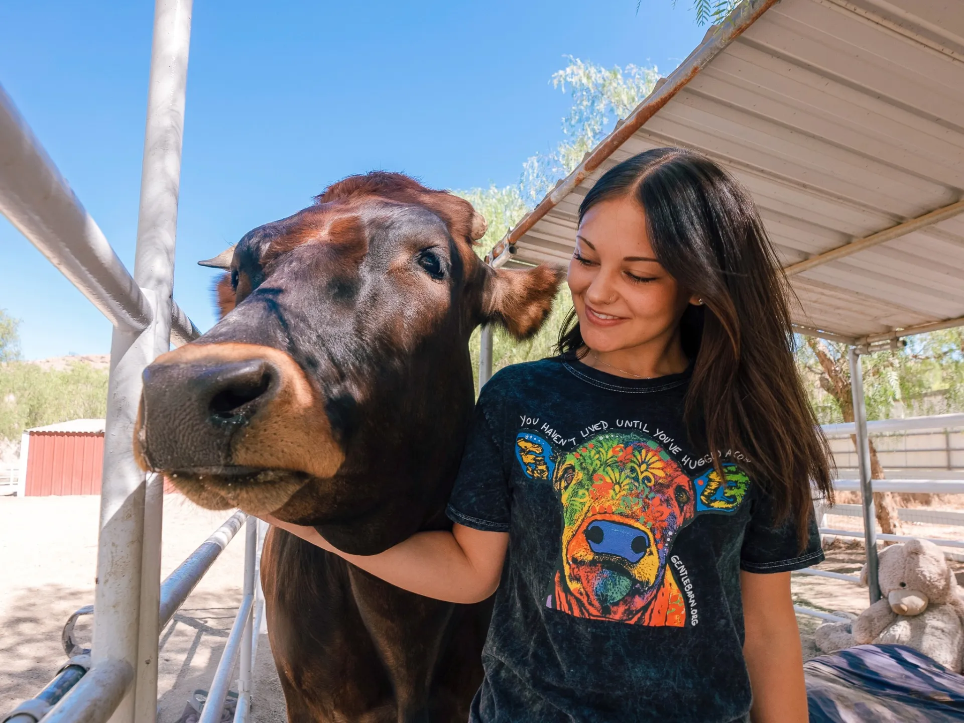 The Gentle Barn in Santa Clarita