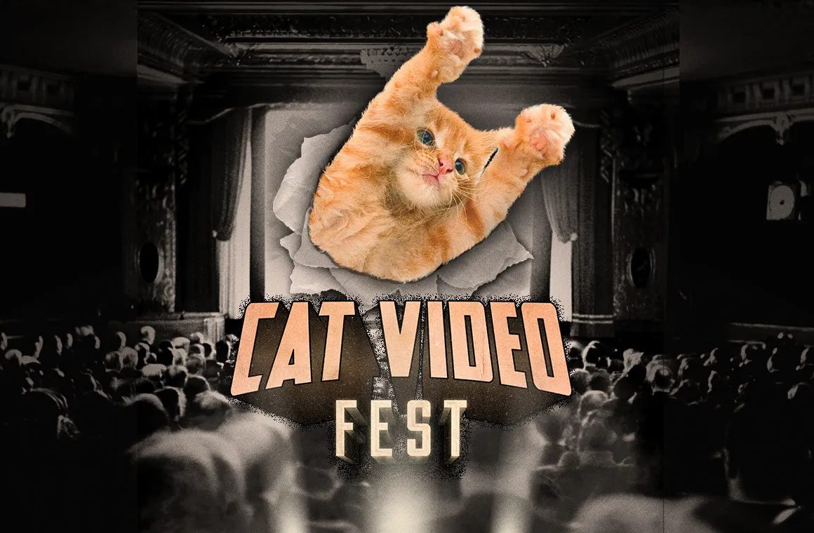 NHMLA Cat Video Fest 