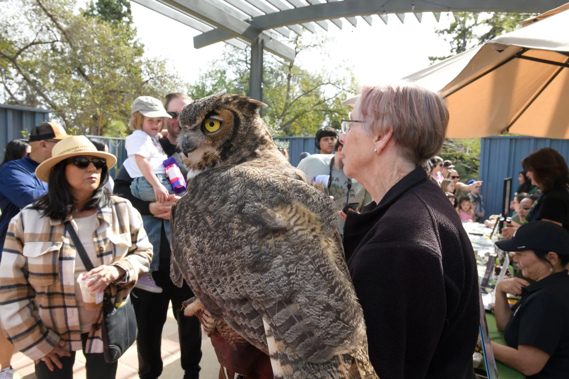 Take flight at California Botanic Garden’s Family Bird Festival! A family friendly day of birdy learning, crafts, games, and more - free with Garden admission!