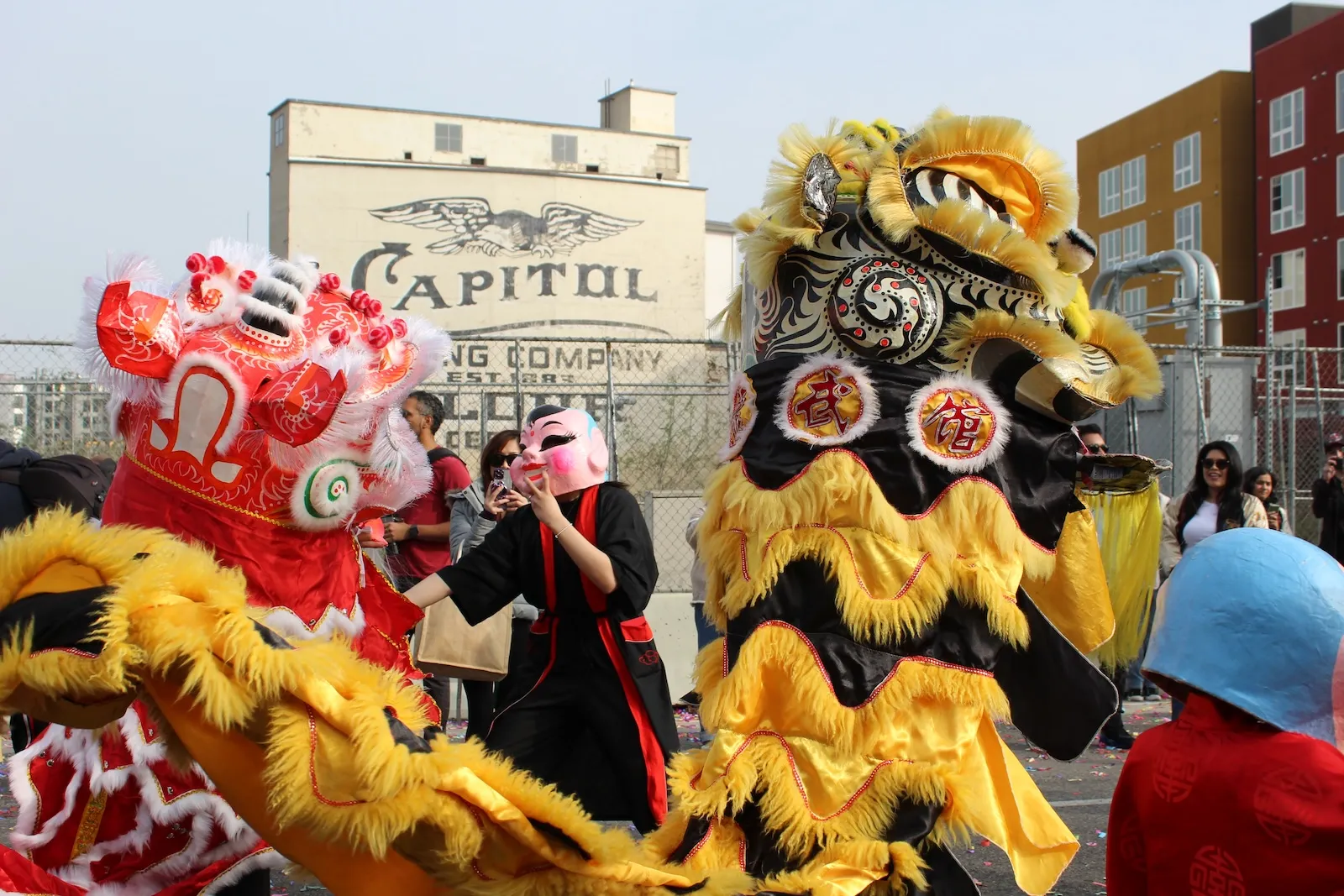 Lunar New Year Chinatown