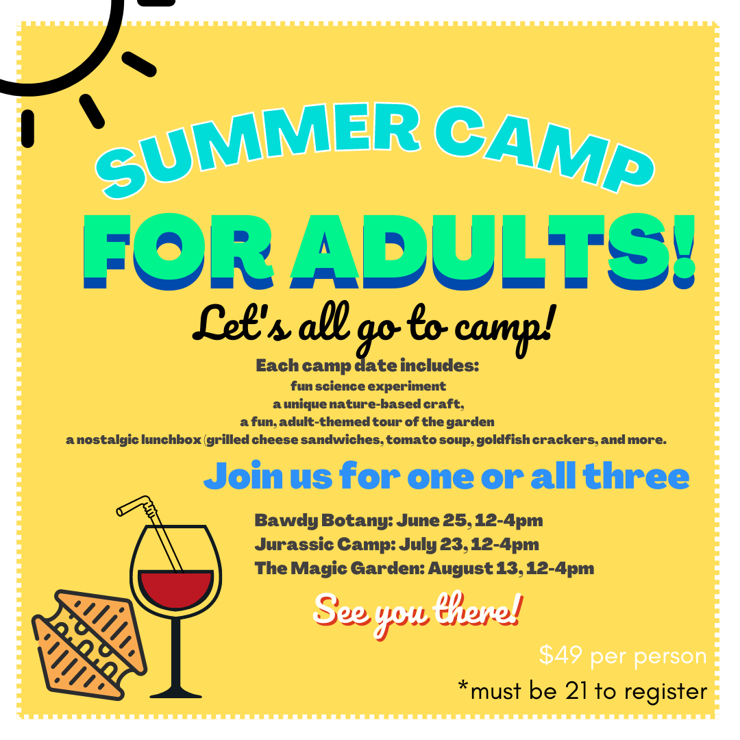 Summer Camp for Adults