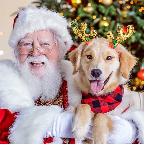 Pet Photos With Santa at Brea Mall