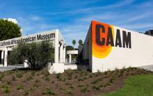 Primary image for California African American Museum