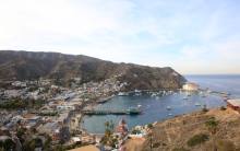 Primary image for Catalina Island