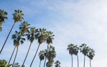 Primary image for Hampton Inn & Suites Los Angeles/Hollywood