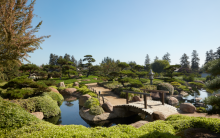 Primary image for Japanese Garden