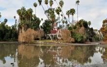 Primary image for Los Angeles County Arboretum and Botanic Garden