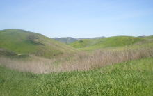Primary image for Upper Las Virgenes Canyon Open Space Preserve