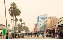 Primary image for Venice Beach