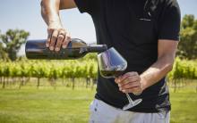 Man Pouring a Glass of Wine in Mizel Estate Vineyard