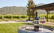 Yoga in Mizel Estate Wines vineyard with wine and chocolates