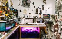 Studio of artist Ashton S. Phillips, work benches and styrofoam towers surround a violet-glowing tank, filled with insects digesting styrofoam to create artwork surrounded by artfully arranged studio walls filled with 2d and 3d artworks and tools.