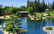Jardin Japonais : Suiho En 